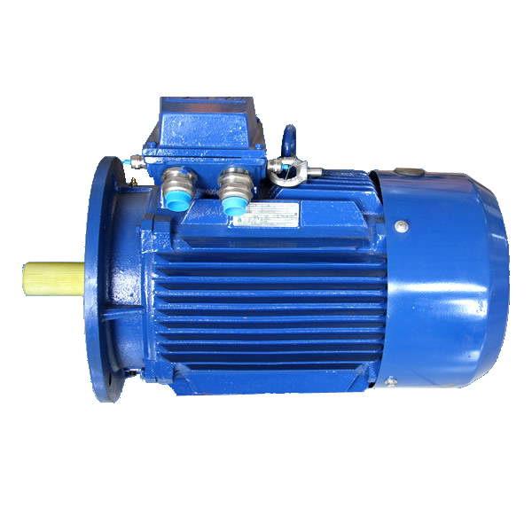 Electric motor